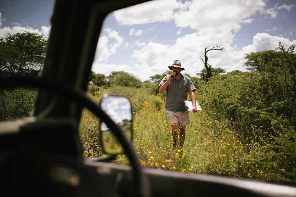 safari reservat namibia