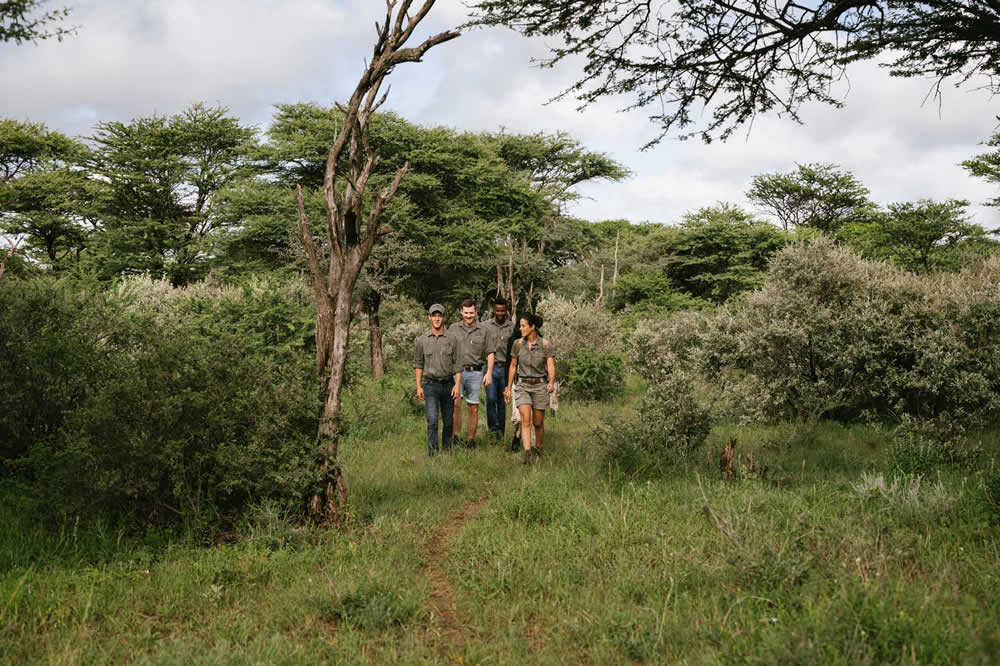 Wander-Safari auf Kambaku