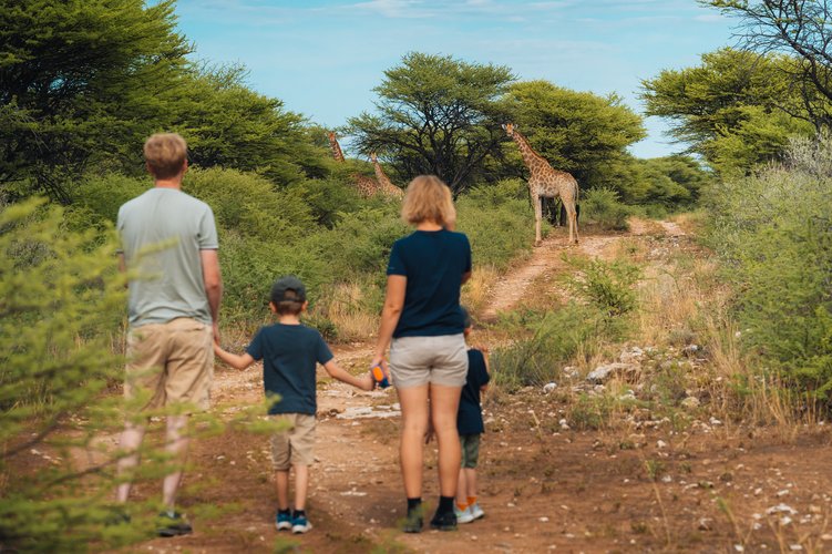 Teaser-family-safari-hiking