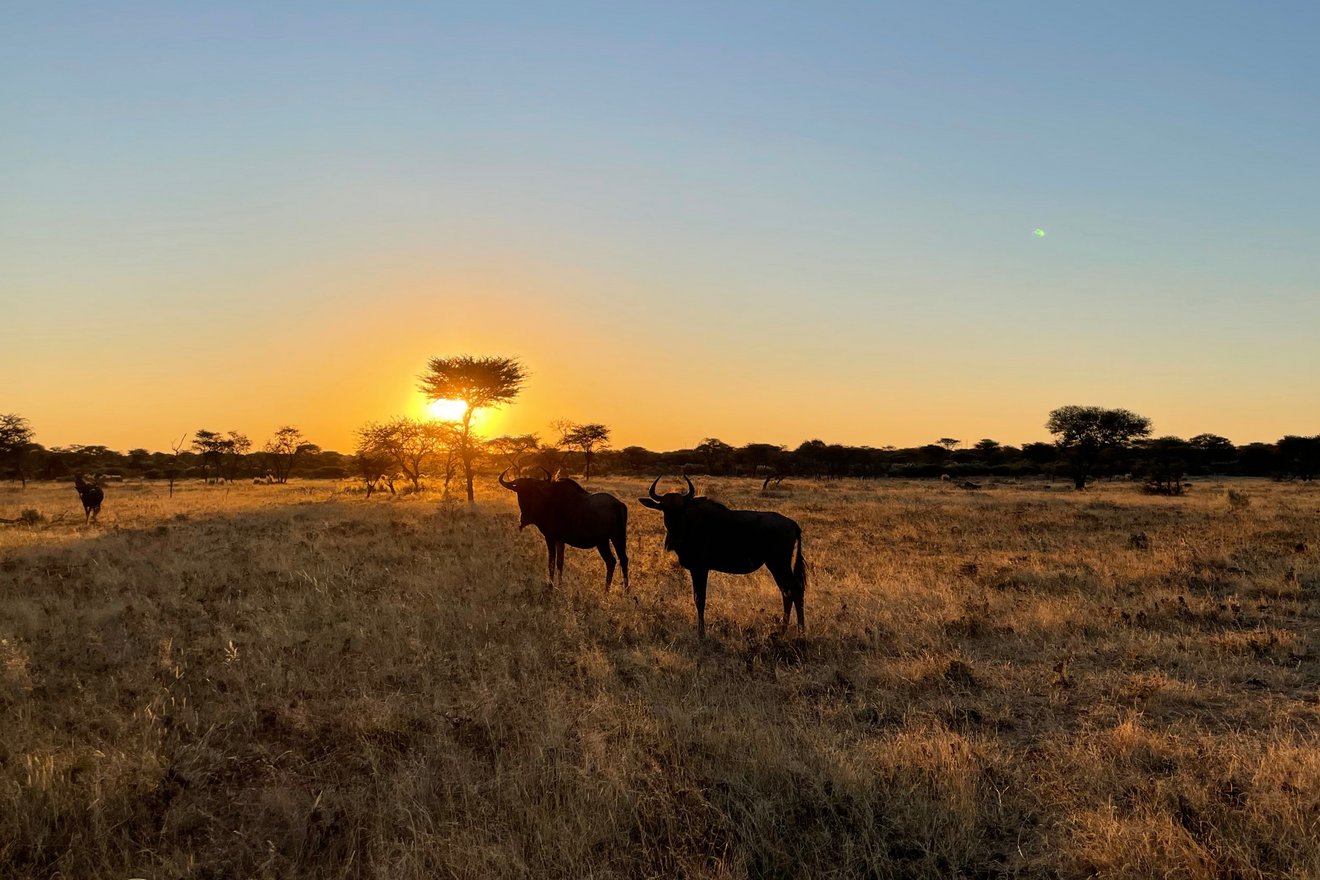 namibia-trockenzeit3