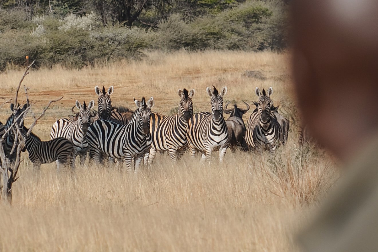 namibia-trockenzeit